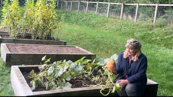 Latest Friends on Friday Video: 'Pumpkins'