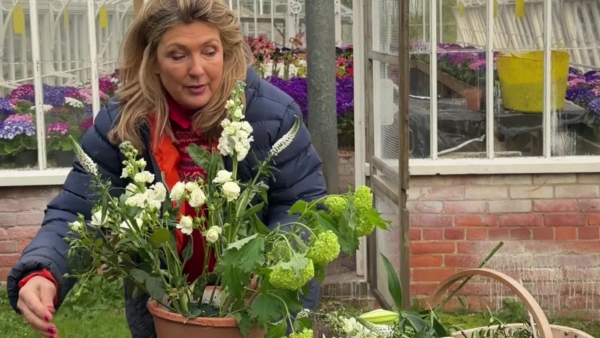 Latest Friends on Friday Video: Flower arranging