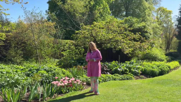 Latest Friends on Friday Video: Tulip Mania